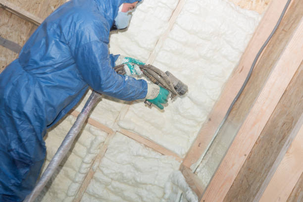 Reliable Carlin, NV Insulation Solutions